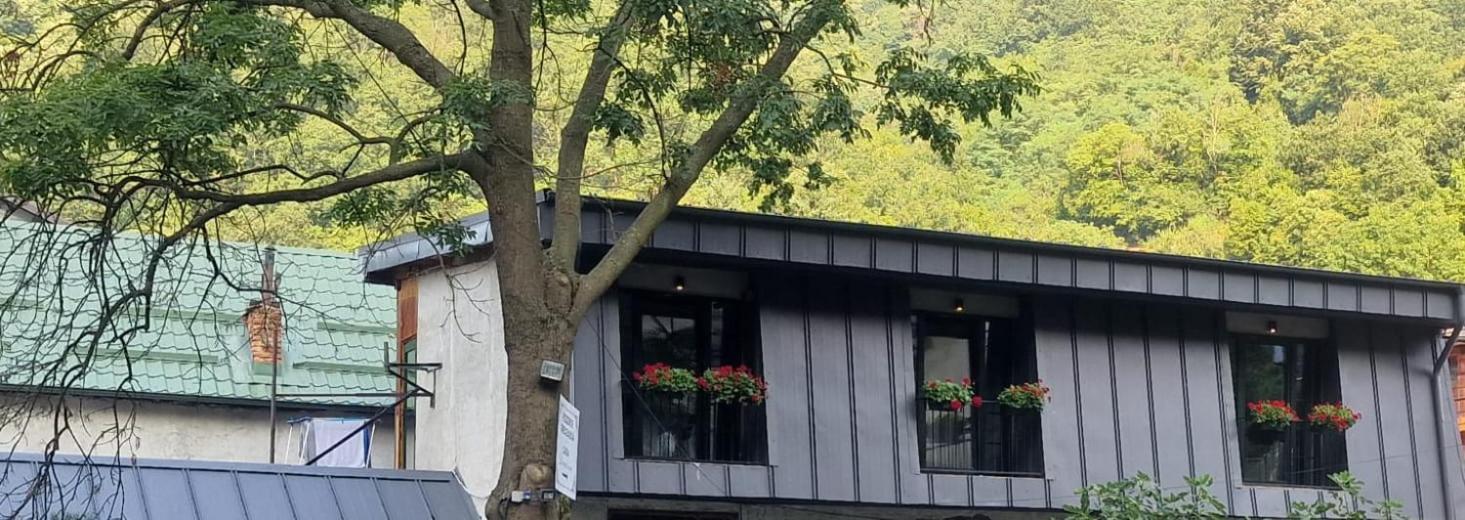 Pensiunea Casa Dimitrios-Băile Herculane Esterno foto